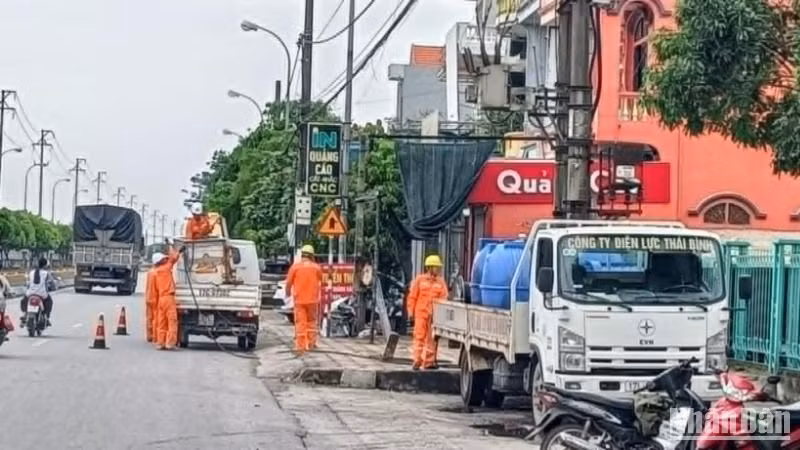 Cải tạo, bảo dưỡng hệ thống đường dây tại khu vực huyện Vũ Thư, tỉnh Thái Bình.