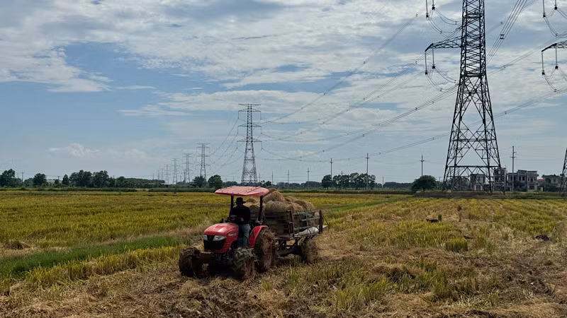 Trong khi đó, việc thu gom và cuộn rơm đã được ứng dụng trên nhiều cánh đồng của tỉnh.