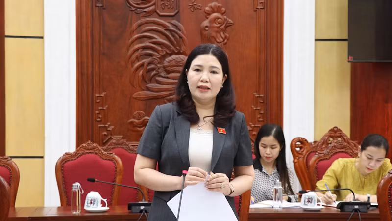 Đồng chí Phó Trưởng đoàn Đại biểu Quốc hội tỉnh Bắc Ninh phát biểu kết luận.