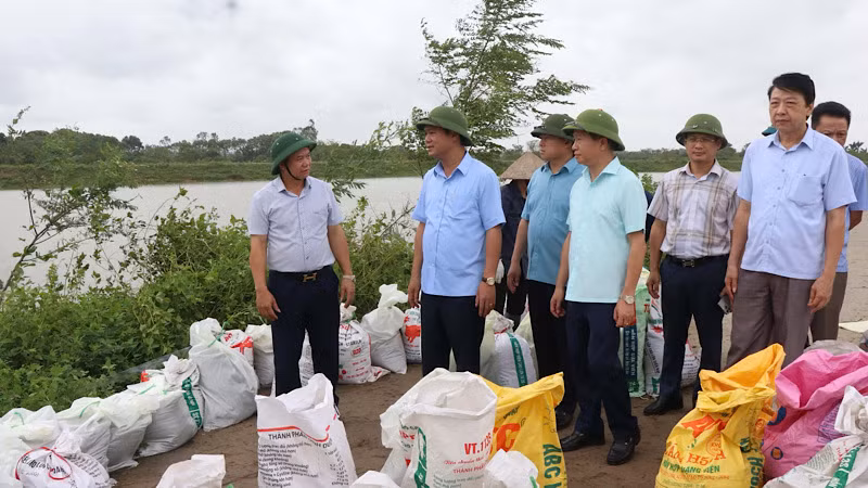 Phó Chủ tịch Ủy ban nhân dân tỉnh Bắc Ninh Lê Xuân Lợi (thứ hai từ trái qua) kiểm tra công tác gia cố đê tại địa bàn huyện Yên Phong.