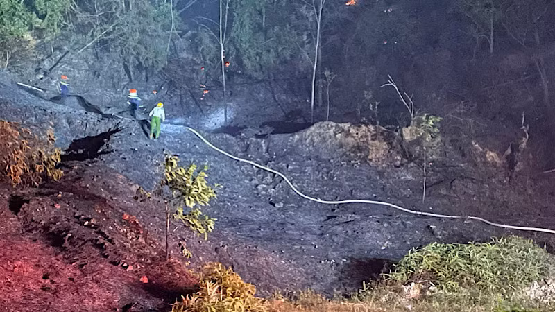 Dọn cây, tạo đường băng để ngăn lửa cháy lan.