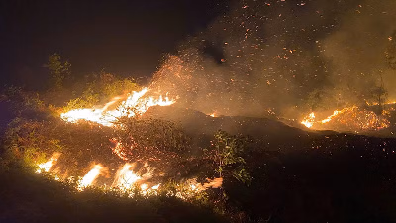 Đám cháy bùng phát nhanh và lan rộng.