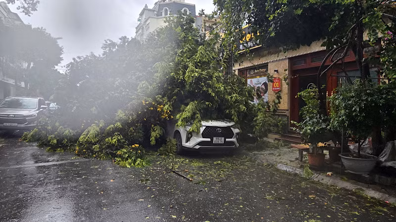 Một chiếc xe bị cây đổ phủ kín tại phường Võ Cường, thành phố Bắc Ninh.