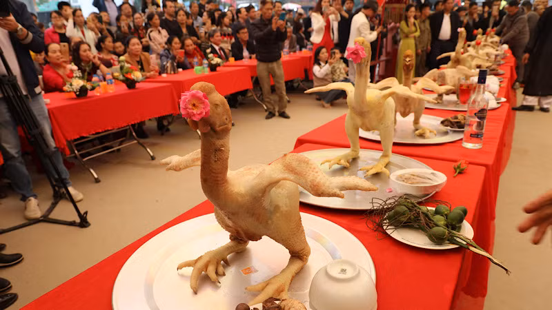 Gà để dâng lễ được chọn ngay từ khi nuôi với nhiều yêu cầu kỹ lưỡng.
