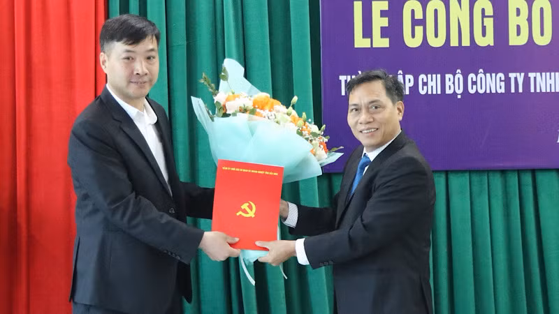 Lãnh đạo Đảng ủy Khối các cơ quan và doanh nghiệp tỉnh trao Quyết định thành lập chi bộ Công ty trách nhiệm hữu hạn Sản xuất và Thương mại D.T.H.