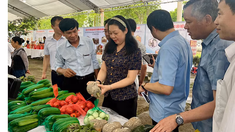 Kiểm tra mã QR trên các sản phẩm.