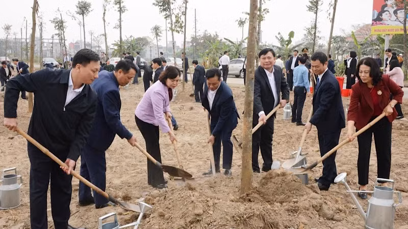 Tết trồng cây tại thị xã Thuận Thành.