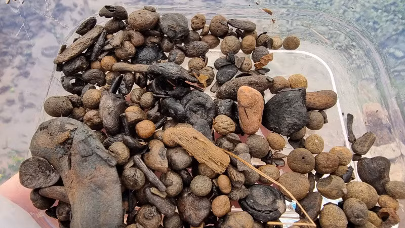 Các hiện vật trong khoang thuyền.