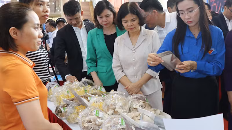 Các đại biểu tham quan gian hàng trưng bày tại Ngày hội.