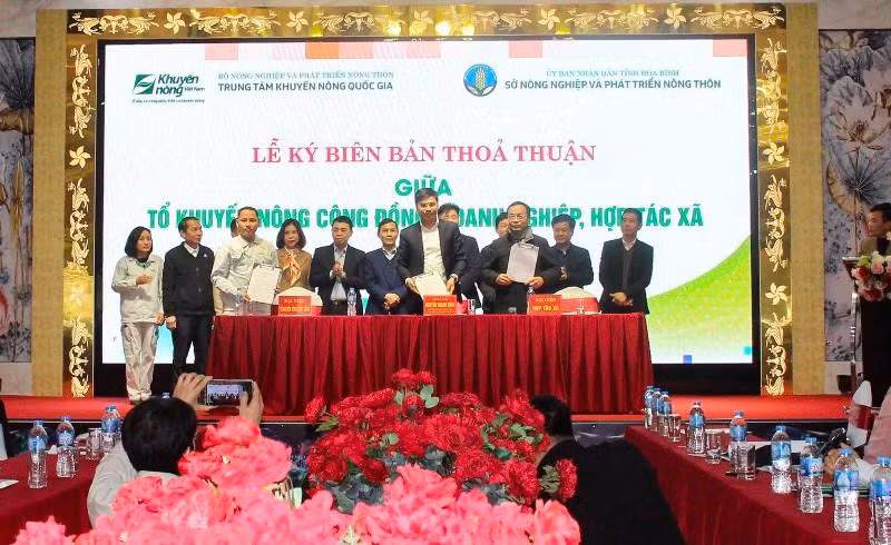 Các đơn vị ký biên bản thỏa thuận phát triển vùng nguyên liệu cây ăn quả vùng núi phía bắc.