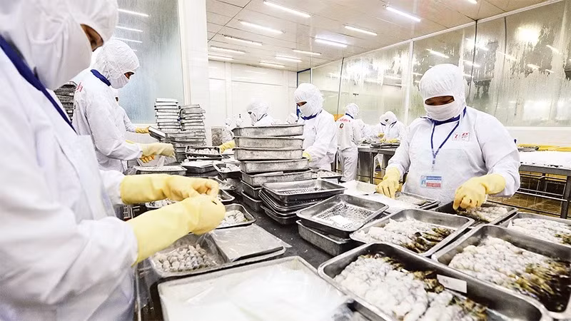 Trước việc EU kiểm soát asen vô cơ các doanh nghiệp chủ động thích ứng, kiểm soát nâng cao chất lượng để sẵn sàng xuất khẩu vào thị trường EU.