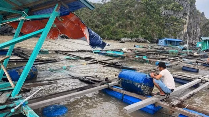 Bộ Nông nghiệp và Phát triển nông thôn vừa có văn bản số 6661/BNN-TS về việc triển khai các biện pháp nhằm sớm khôi phục sản xuất nuôi trồng thủy sản.