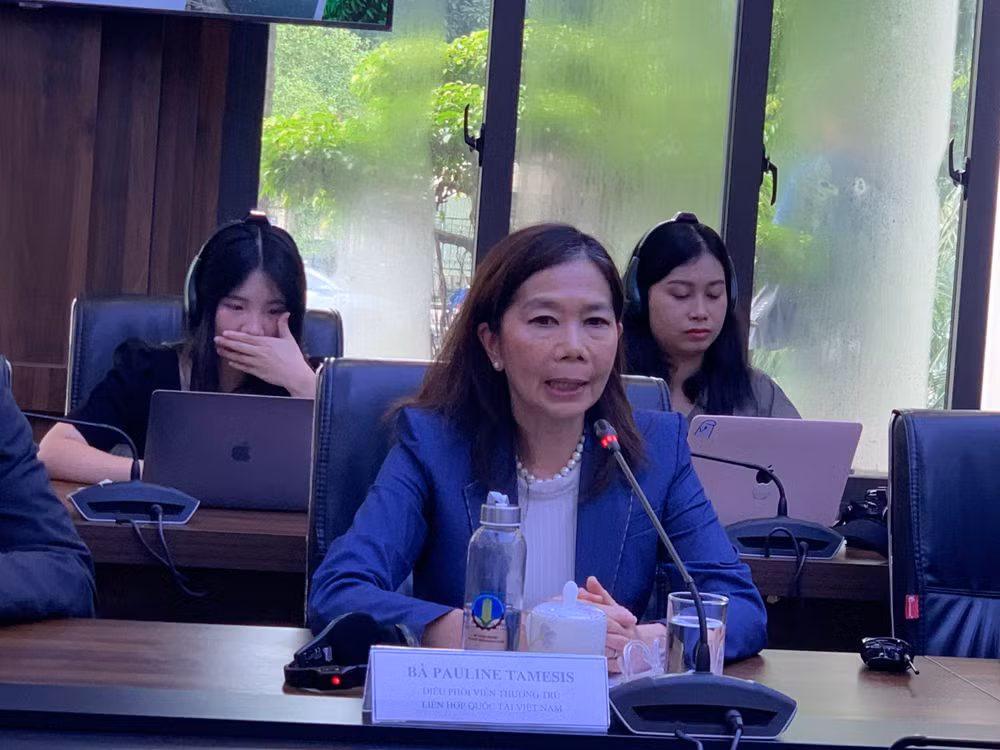 Bà Pauline Tamesis, Điều phối viên thường trú Liên hợp quốc tại Việt Nam, chia sẻ tại buổi làm việc.