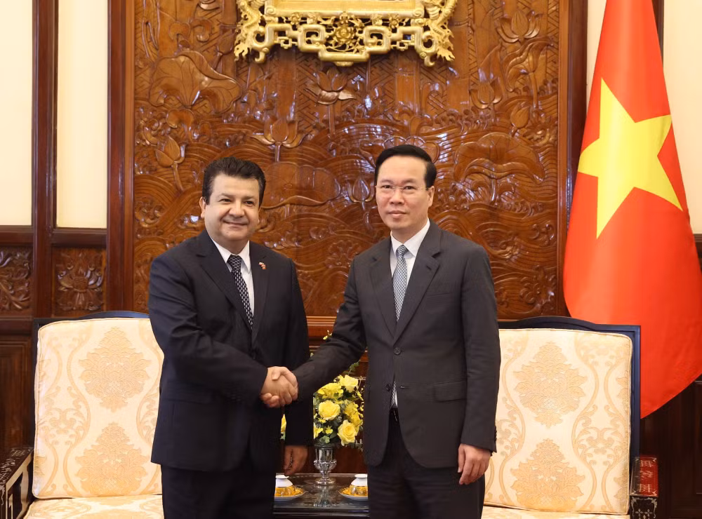 Chủ tịch nước Võ Văn Thưởng tiếp Đại sứ Chile Sergio Nerea Guzman. (Ảnh: TTXVN)