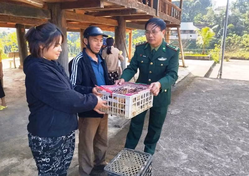 Bộ đội Biên phòng Yên Khương ở huyện Lang Chánh trao tặng vịt giống cho nông hộ chăn nuôi.