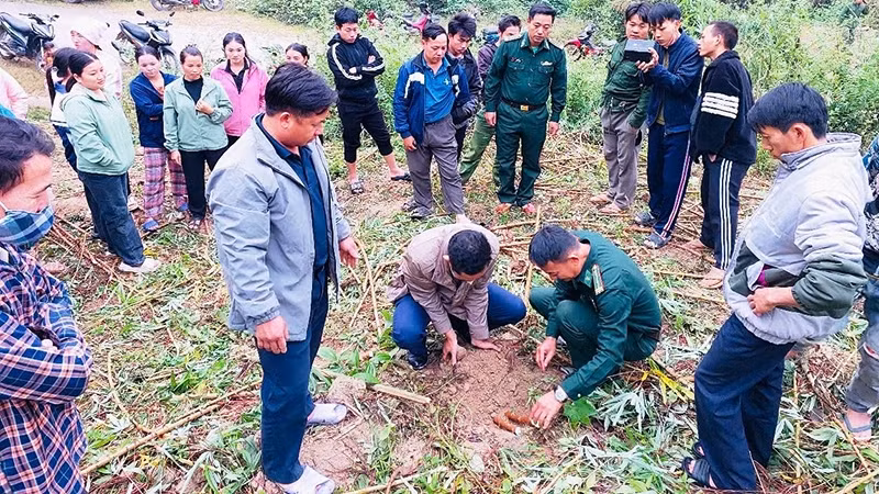 Bộ đội Biên phòng Đồn Quang Chiểu hướng dẫn nông dân trồng cây sắn cao sản.