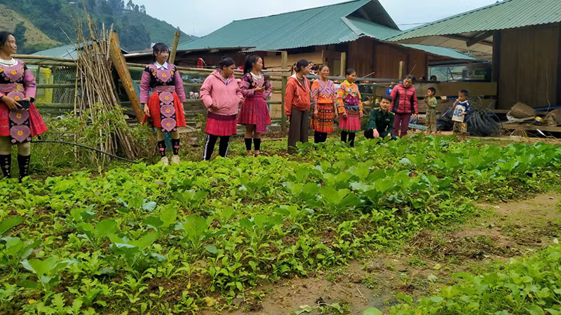 Phụ nữ dân tộc H'Mông tham quan mô hình vườn rau sạch ở xã Tam Chung, huyện Mường Lát.