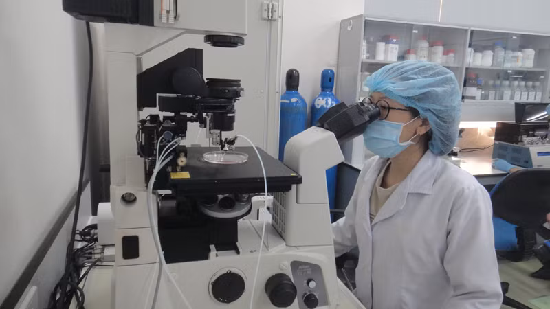 Hoạt động nghiên cứu khoa học tại Trường đại học Quốc tế, Đại học Quốc gia Thành phố Hồ Chí Minh.