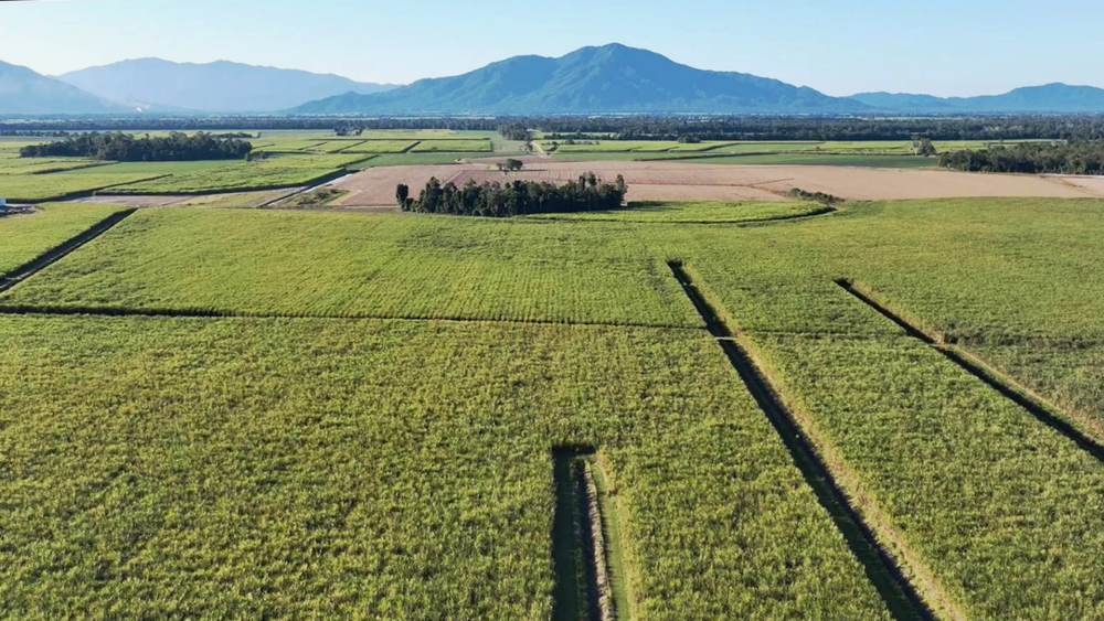 Vùng nguyên liệu mía của Công ty cổ phần Thành Thành Công - Biên Hòa tại Tully, bang Queensland, Australia