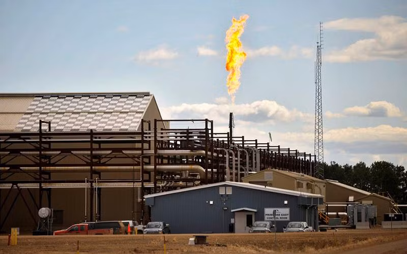 Ảnh minh họa. Nguồn: Reuters