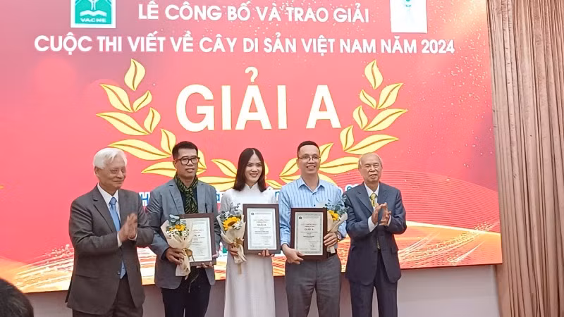 Ban Tổ chức trao giải A cho ba tác giải có tác phẩm đoạt giải cuộc thi.