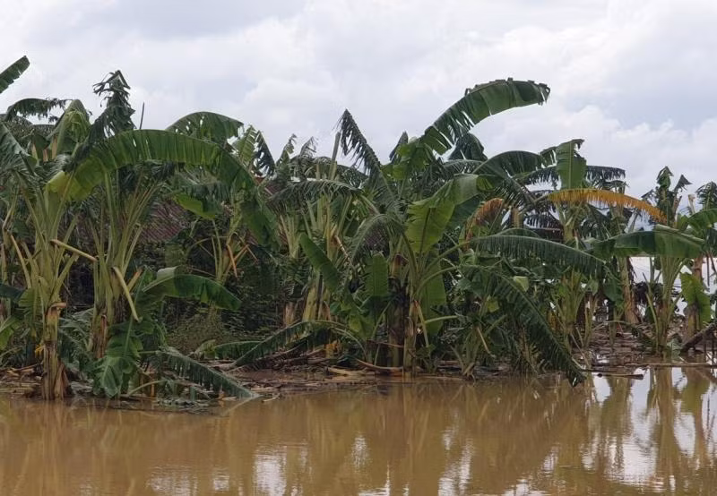 Khu vực nơi cháu bé tử vong.