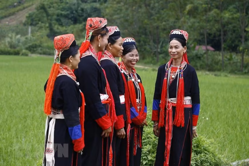 Ngắm trang phục truyền thống người Dao Thanh Y ở Tuyên Quang ảnh 1