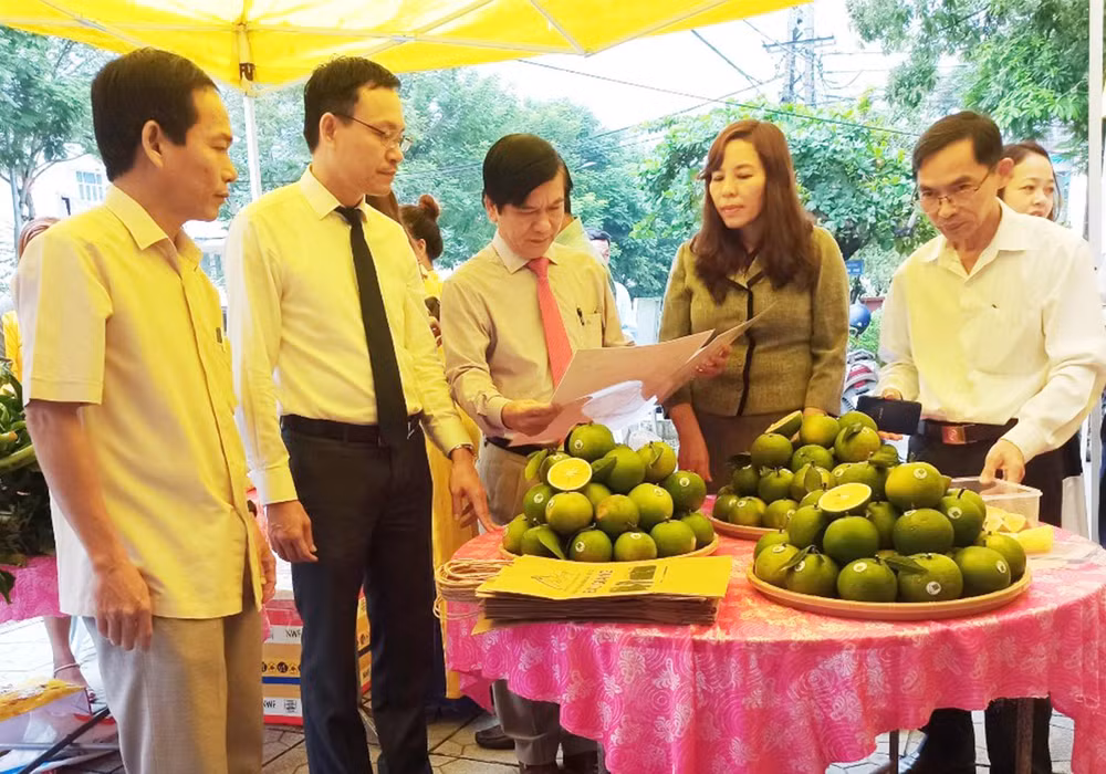 Lãnh đạo huyện Hải Lăng và Hội Nông dân tỉnh tham quan gian hàng cam hữu cơ của Công ty Bàu Giàng.