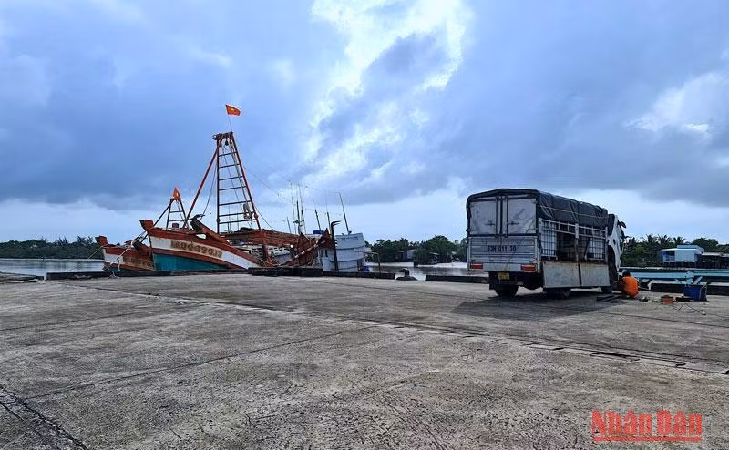 Cảng cá Rạch Gốc đầu tư gần 100 tỷ đồng nhưng 10 ngày đầu của tháng 10 chỉ có hơn chục tàu cập cảng.