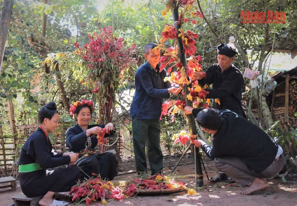 Bà con người Cống bản Lả Chà chuẩn bị hoa mào gà để trang trí nhà cửa, bản làng đón Tết hoa.