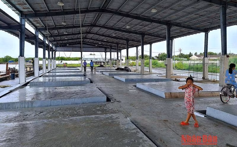 Cảng cá Hố Gùi đầu tư khoảng 70 tỷ đồng nhưng không có hộ kinh doanh, tàu cập bến, trở thành sân chơi của trẻ em miền biển.