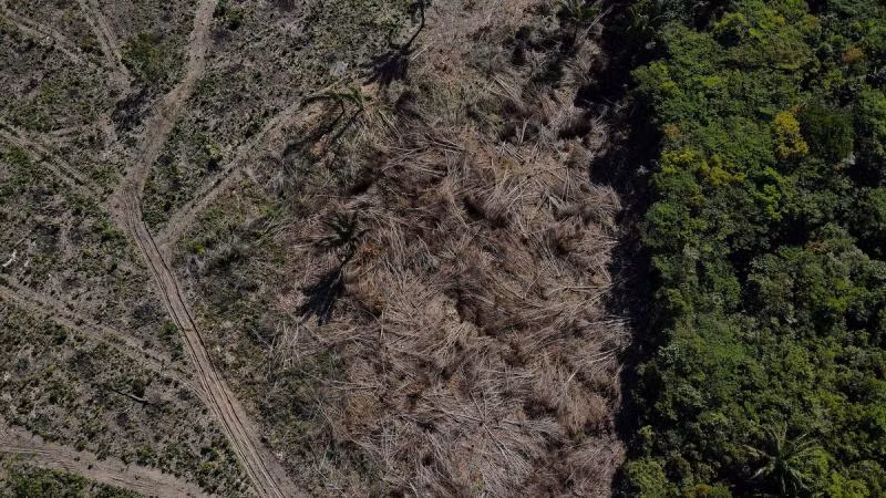 Một khoảnh rừng nhiệt đới Amazon ở Manaus bị chặt phá, bang Amazonas, Brazil ngày 8/7/2022. (Ảnh: REUTERS)