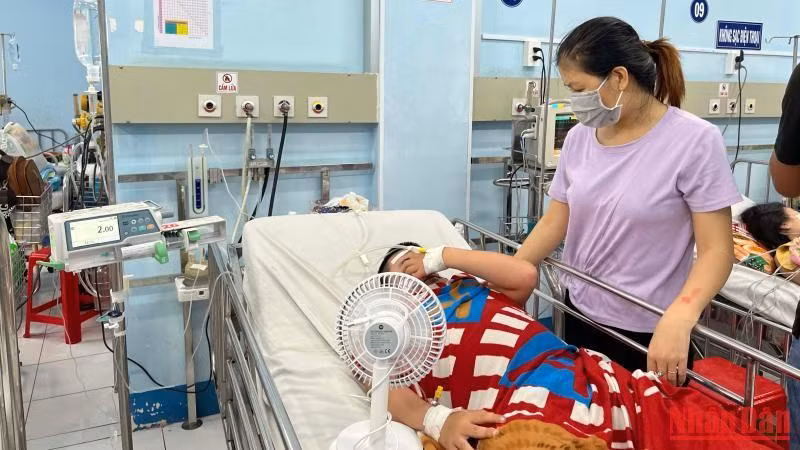 Điều trị sốt xuất huyết tại Bệnh viện Nhi Đồng 1, Thành phố Hồ Chí Minh.
