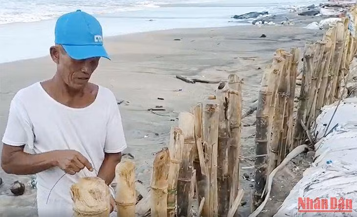 Người dân gia cố bờ kè tạm để ngăn chặn sạt lở.