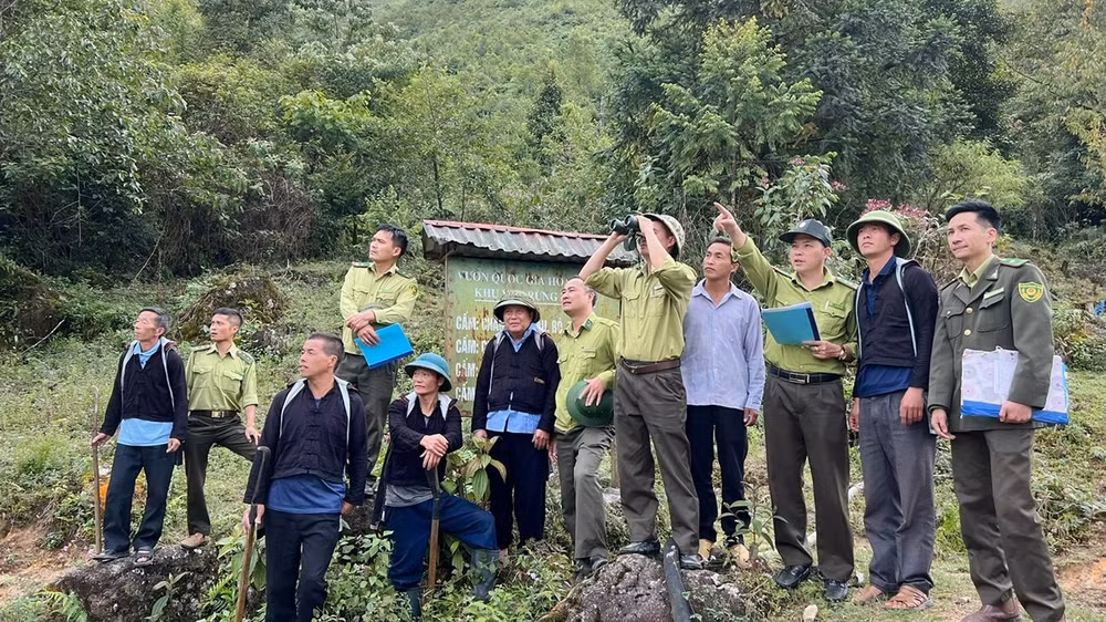 Lực lượng chức năng tại Vườn Quốc gia Hoàng Liên luôn nỗ lực bảo vệ rừng, bảo vệ đa dạng sinh học. Lực lượng chức năng tại Vườn Quốc gia Hoàng Liên luôn nỗ lực bảo vệ rừng, bảo vệ đa dạng sinh học.