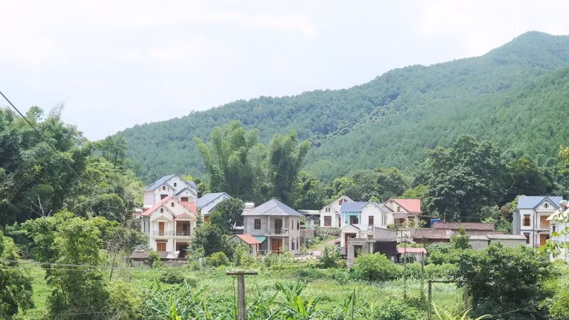 Nhiều hộ dân tại huyện Đình Lập đã có nhà cửa khang trang nhờ rừng thông. Nhiều hộ dân tại huyện Đình Lập đã có nhà cửa khang trang nhờ rừng thông.