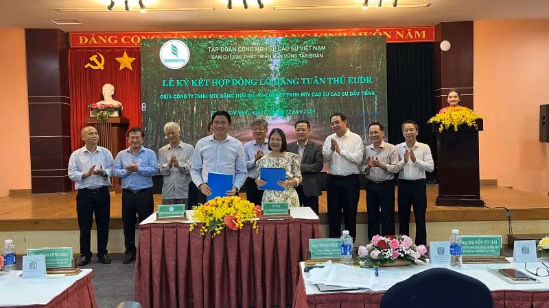 Công ty Cao-su Dầu Tiếng và Công ty Đặng Thái Gia ký kết hợp đồng mua bán mủ cao-su đáp ứng EUDR.