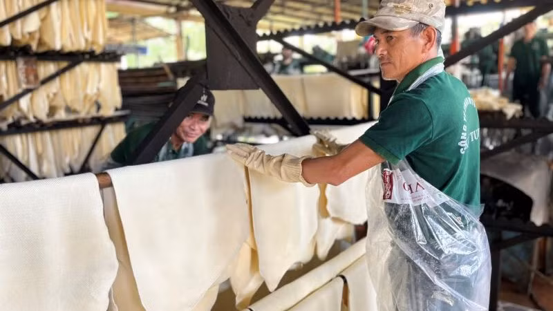 Công nhân chế biến mủ cao-su tại nhà máy Công ty Cao-su Kon Tum.