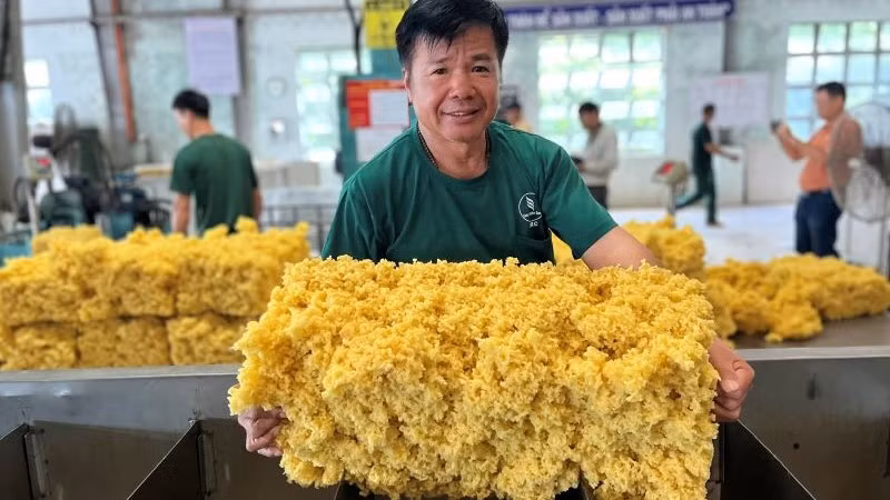 Cuộc sống ổn định, công nhân gắn bó làm việc lâu dài tại Công ty cao-su Ea H'Leo.