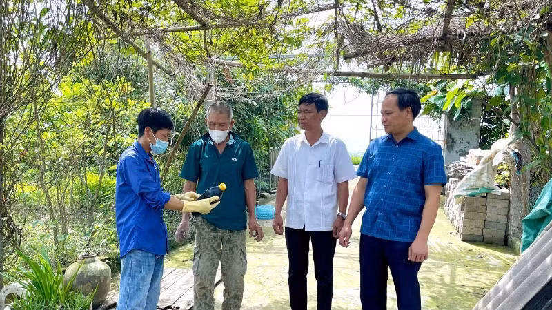 Lãnh đạo Chi cục Chăn nuôi và Thú y tỉnh cùng lãnh đạo xã Gia Hòa, cán bộ thú y xã hướng dẫn người dân thực hiện các biện pháp an toàn sinh học trong chăn nuôi và khử trùng tiêu độc môi trường.