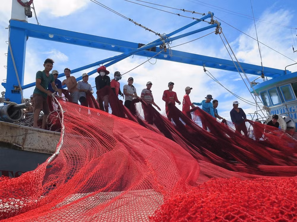Ngư dân đưa lưới lên tàu tại cảng cá Mỹ Tân (xã Thanh Hải, huyện Ninh Hải, Ninh Thuận), chuẩn bị cho chuyến ra khơi. Ảnh: Minh Hưng