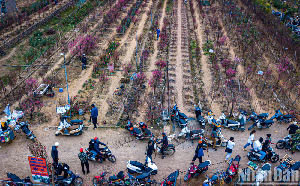 Ảnh: THÀNH ĐẠT