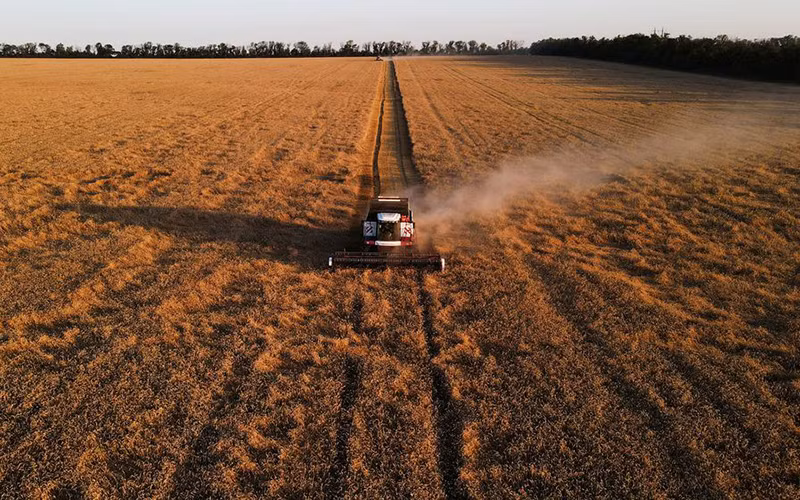 Giá hàng hóa nguyên liệu thế giới nối dài xu hướng giảm