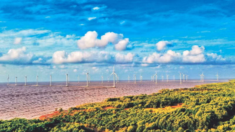 “Cánh đồng” điện gió Bạc Liêu. Ảnh: Công Đạt