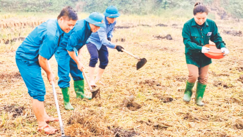 Nông dân huyện Văn Yên (Yên Bái) trồng ngô trên đất hai vụ lúa.
