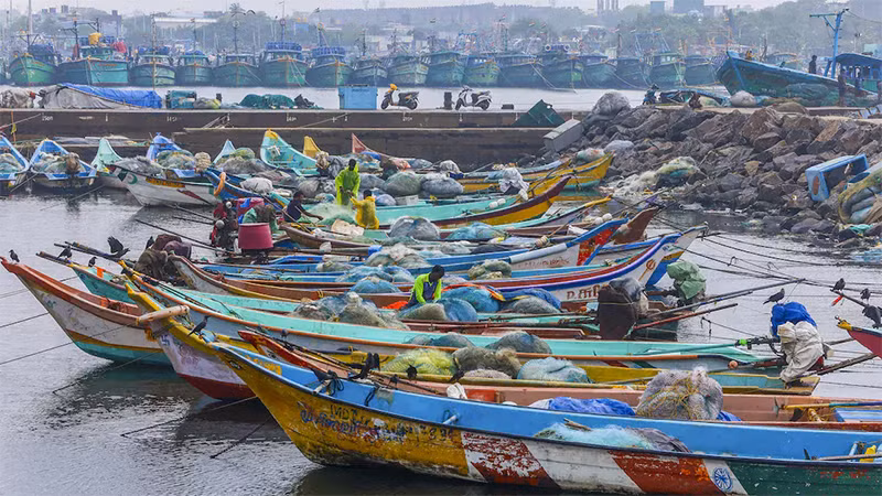 Tàu thuyền vào bờ trước khi bão đổ bộ. Ảnh: PTI