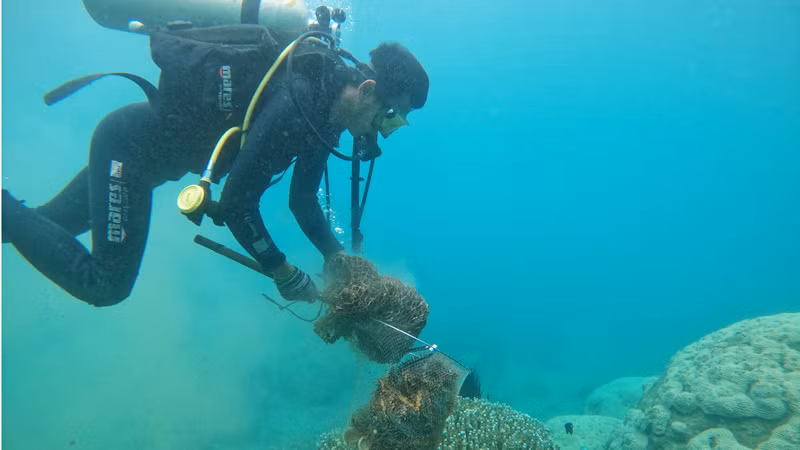 Thu gom rác thải nhựa để bảo vệ môi trường biển.