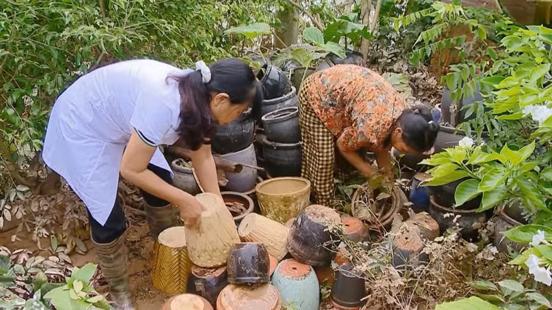 Các bộ y tế và người dân trên địa bàn thành phố Hà Nội vệ sinh môi trường sau bão, lụt.