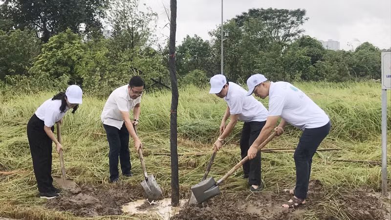 Các đại biểu trồng cây xanh trong khuôn viên Công viên Chu Văn An.