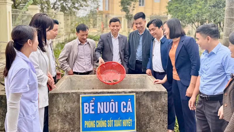 Cán bộ y tế hướng dẫn người dân trên địa bàn huyện Thanh Oai (thành phố Hà Nội) thả cá diệt bọ gậy để phòng, chống sốt xuất huyết.